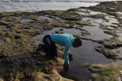 Santa-Cruz-2015-53-of-1378
