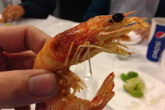 Santa-Cruz-2015-59-of-1378