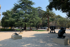 Stanford-2020-1003-of-1378