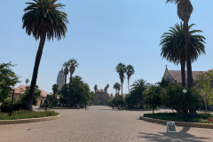 Stanford-2020-1005-of-1378