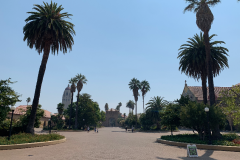 Stanford-2020-1006-of-1378