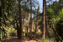 Stanford-2020-1015-of-1378