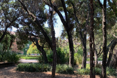 Stanford-2020-1016-of-1378