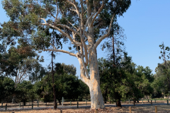 Stanford-2020-940-of-1378