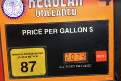 Suisun-2015-66-of-1378