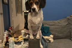 01740A95-DC00-4B34-87CB-E5A220F7A0D7_1_105_c