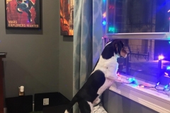 0FEE022E-07CB-4B91-AC26-DF7E1445C9A2_1_105_c