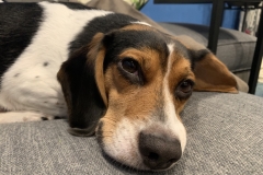 1AD3ABB3-FC8D-47B0-8354-E51E28B52297_1_105_c