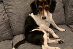 1EB928B6-6D62-4852-ADE8-5C37F7CB2A62_1_105_c