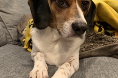 3F6FC3F4-E6AE-4A78-AFB6-0F37D3A83C06_1_105_c