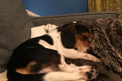 571CACD3-50C9-42A0-9CCA-BFF1DC6624FE_1_105_c