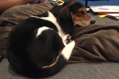 58A7E39B-ACEB-429B-9D18-D341A2457E75_1_105_c