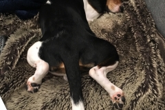 65D4D128-11A6-43E5-AD65-2A003493EF6A_1_105_c