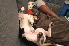 69AFE021-F4C0-46F4-999C-69580520A653_1_105_c