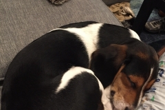 6A6F16BC-8CA5-42E5-845C-9A01EF462737_1_105_c