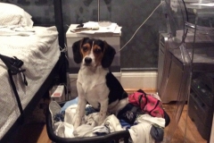 6B0CEB9E-CA2F-4DB3-909C-EB500FCAAF9E_1_105_c