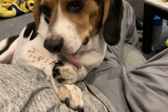 83D20313-5374-4010-A5CE-B8D35940BBD4_1_105_c