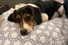 8C5DD6C0-4DAB-41E9-80A8-90E523BBABCD_1_105_c