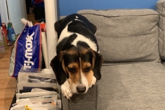 8E195BB8-8684-4141-941F-4A84AB5211D3_1_105_c