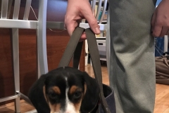 9BCDE1F7-0629-4FA5-9C9C-E8B1067E6ACF_1_105_c