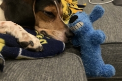 9F945728-BE14-41E2-903A-80C0871218E5_1_105_c