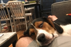 A23EC70D-DF0C-4B5C-ABEE-B7AD2CF97AF2_1_105_c