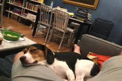 A2CE6BD7-B06F-4FA5-A751-CAE6D751AF0B_1_105_c