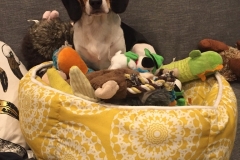 A92D0152-48CC-4209-9B6E-84DCA48709F7_1_105_c