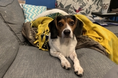 C0537351-D36E-41AF-AAC5-86E1CCBD2C14_1_105_c