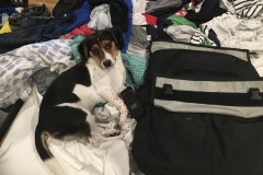 C413C8CF-3868-4FC7-9B40-8FECADE94CC8_1_105_c