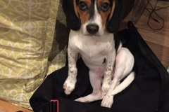 C6D8E576-1897-4C33-9F48-D0ACA30DEC46_1_105_c