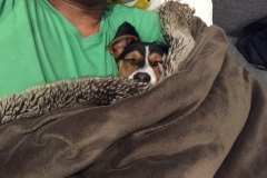 DECAC5DF-F039-44E0-A22D-25D45F9A75A6_1_105_c