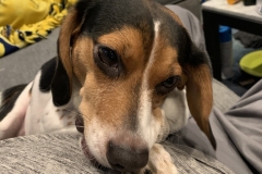 F6FDDE08-8793-4C09-A6E3-B7E12FB05867_1_105_c