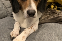 F7B28761-A69C-4AD9-ABB7-5C547BFB7E8F_1_105_c