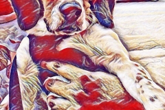 luna-pic-water-color-charlie