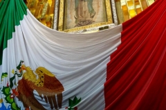 Favorites-from-Mexico-City-5-of-29-s-1