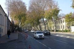 DSC00076-1