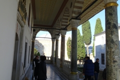 DSC00086-1
