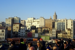 DSC00091-1