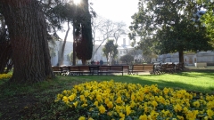 DSC00112-1