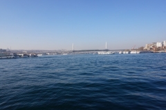 F192F7E2-CF95-4A10-97CA-7C817E8D9336_1_105_c