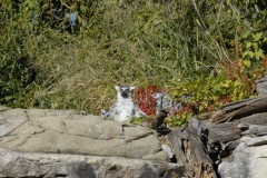 dsc4969