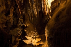 Luray-7794-1