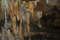 Luray-7814-1