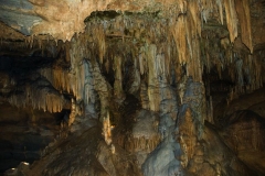 Luray-7877-1