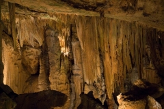 Luray-7939-1