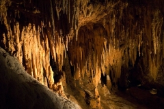 Luray-7967-1