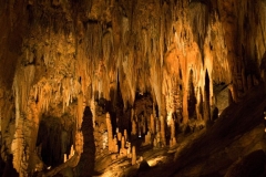Luray-8061-1