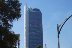 DSC00638