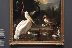 Amsterdam-2018-255-of-310